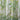 Anzu Natural Bamboo Design 72" x 72" Shower Curtain - iDesign-Shower Curtain